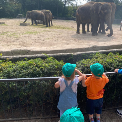 Ausflug in den Tierpark
